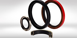 Rotary Seals