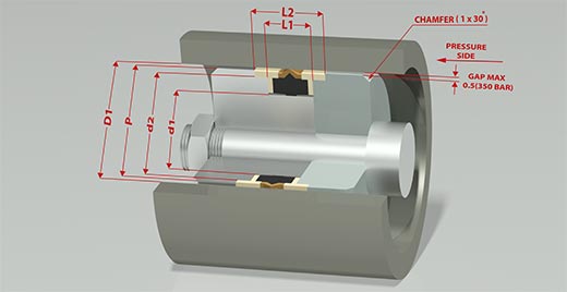P65 Assembly