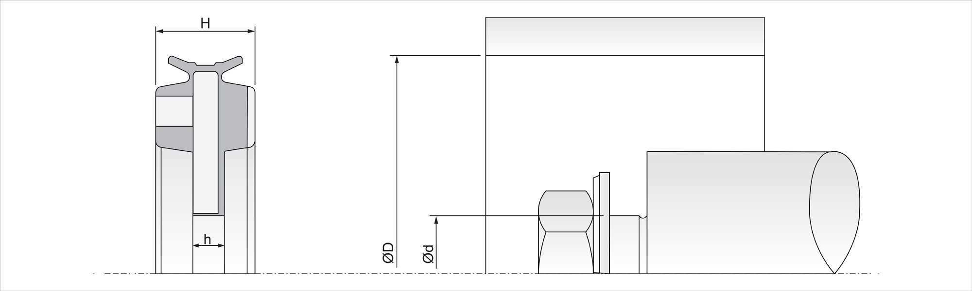 P21 Assembly